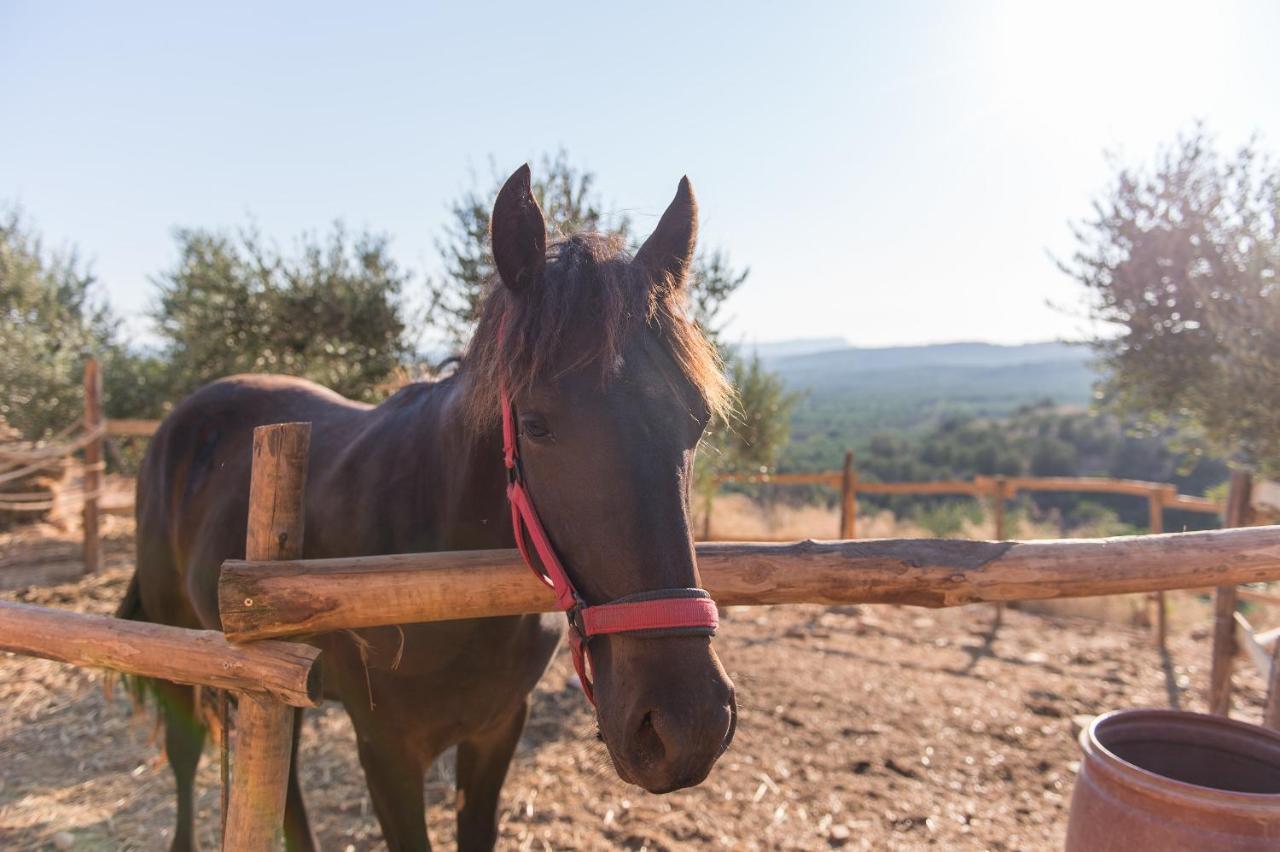 Lameriana Luxury Village Αχλαδές Εξωτερικό φωτογραφία